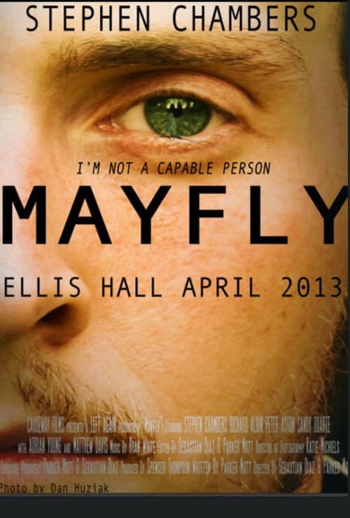 Постер: Mayfly