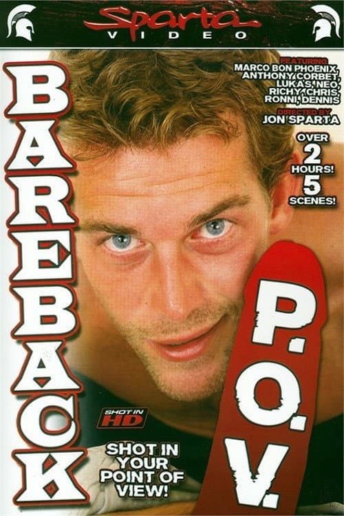 Постер: Bareback P.O.V.