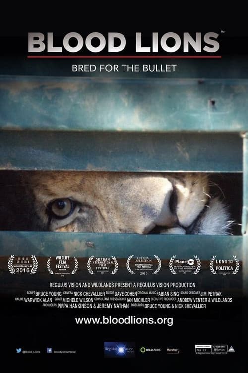 Постер: Blood Lions