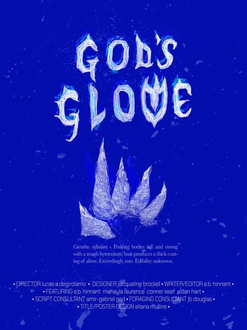 Постер: God's Glove