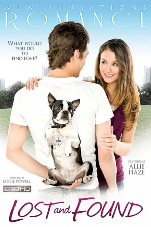 Постер: Lost and Found