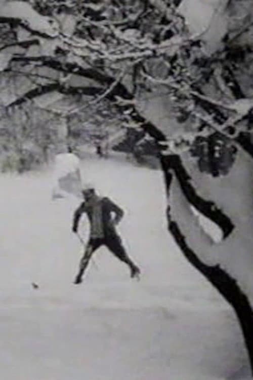 Постер: Max fait du ski