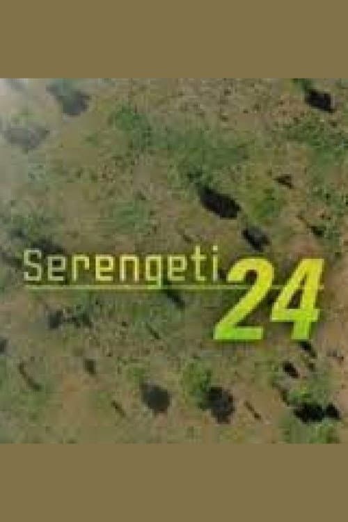 Постер: Serengeti 24