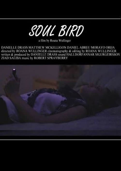 Постер: Soul Bird