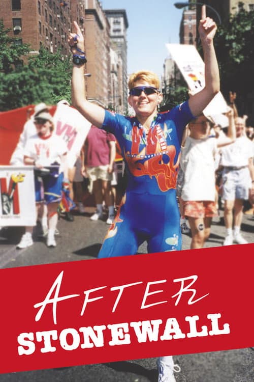 Постер: After Stonewall