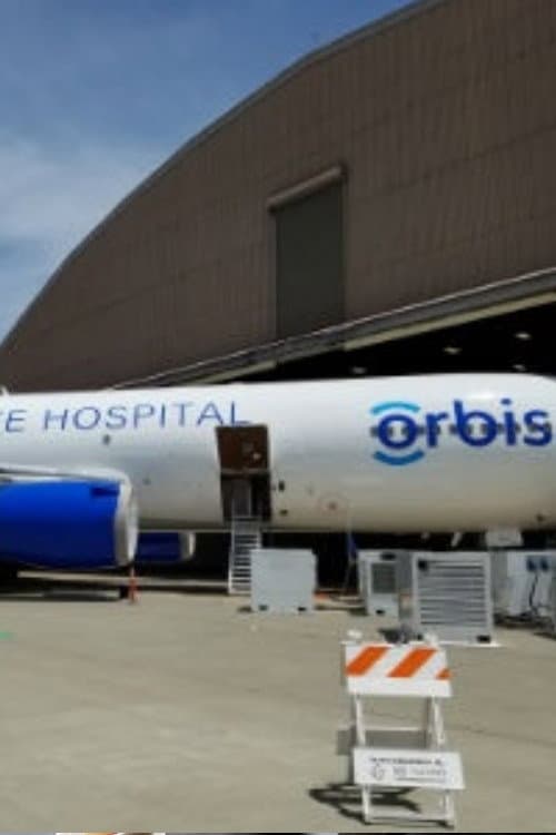 Постер: Hospital in the Sky