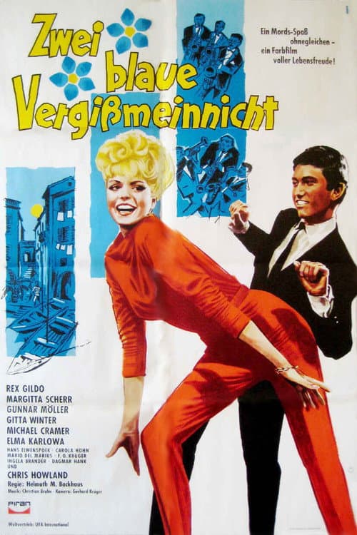 Постер: Zwei blaue Vergissmeinnicht