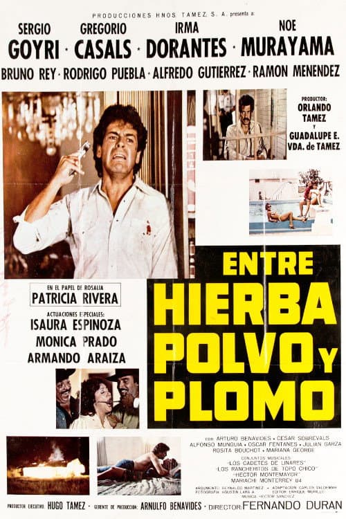 Постер: Entre Hierba, Polvo y Plomo
