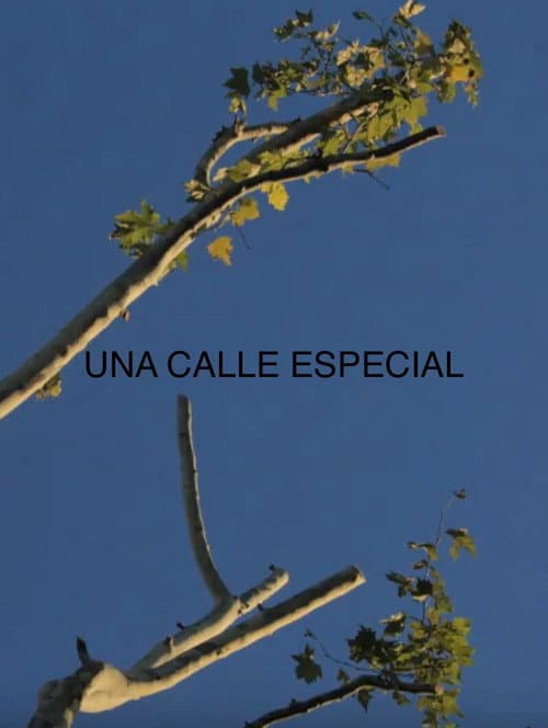 Постер: Una Calle Especial