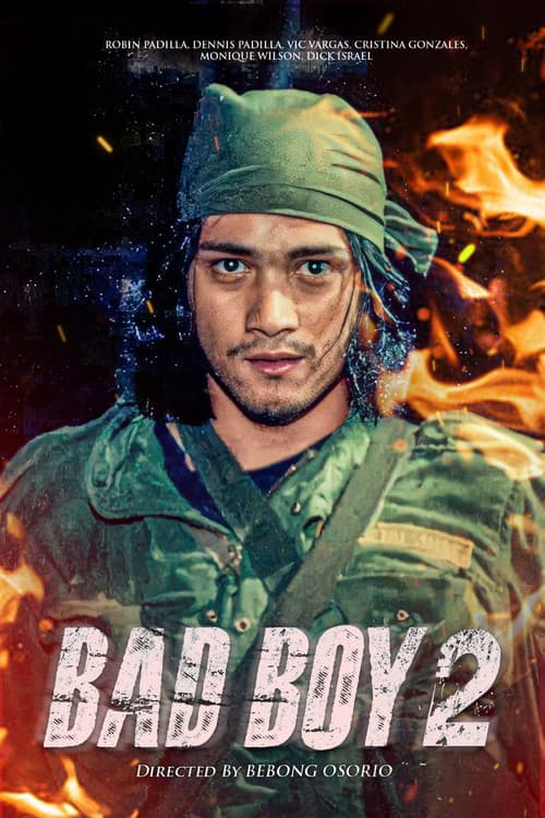 Постер: Bad Boy II