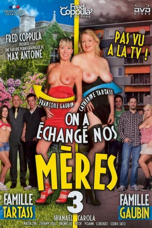 Постер: On a échangé nos mères 3