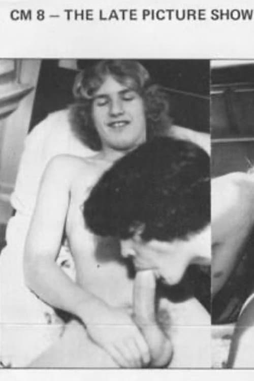 Постер: The Late Picture Show