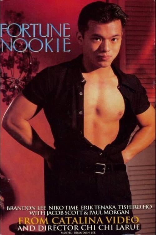 Постер: Fortune Nookie