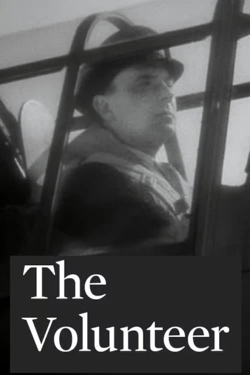 Постер: The Volunteer