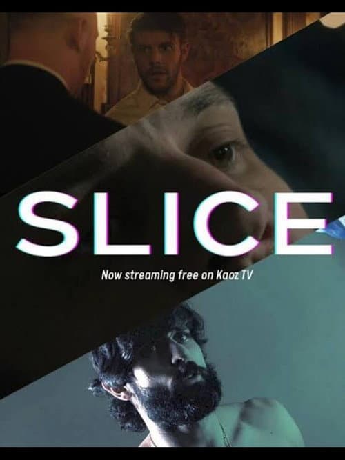 Постер: Slice