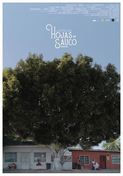 Постер: Hojas de Sauco