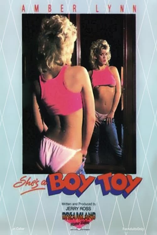 Постер: She's A Boy Toy