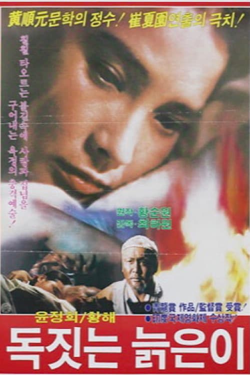 Постер: 독짓는 늙은이
