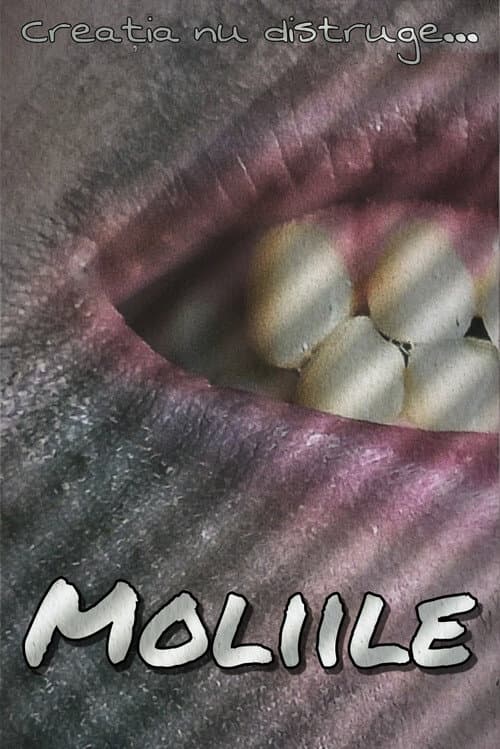 Постер: Moliile