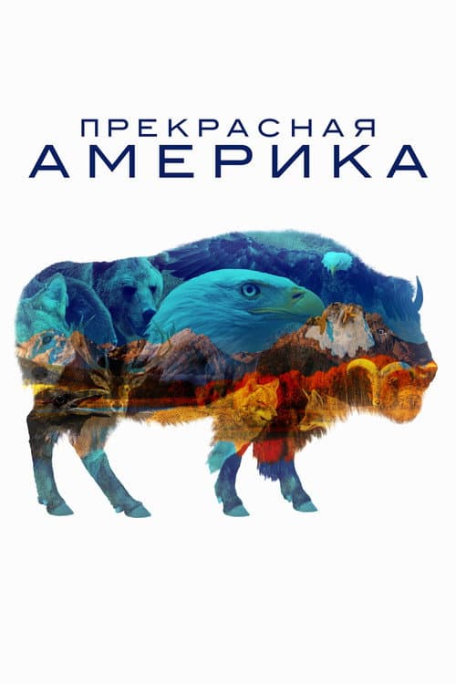 Постер: America the Beautiful