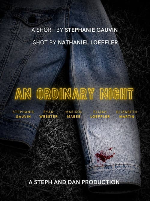 Постер: An Ordinary Night