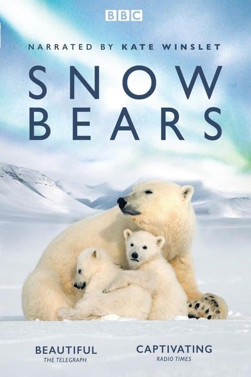 Постер: Snow Bears