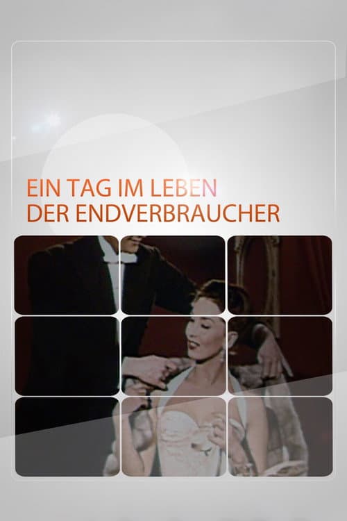 Постер: Ein Tag im Leben der Endverbraucher