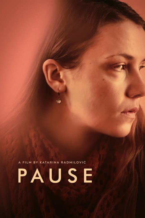 Постер: Pauza