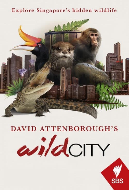 Постер: David Attenborough's Wild City
