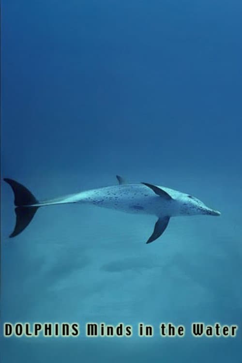 Постер: Dolphins: Minds in the Water