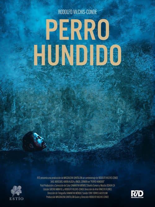 Постер: Perro Hundido