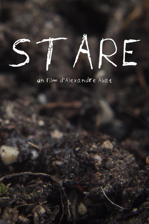 Постер: Stare