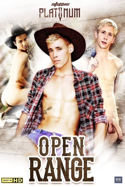 Постер: Open Range
