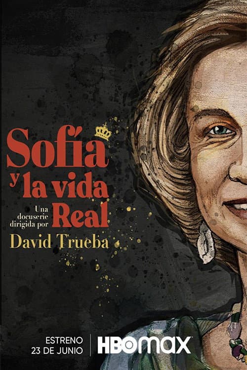 Постер: Sofía y la vida real