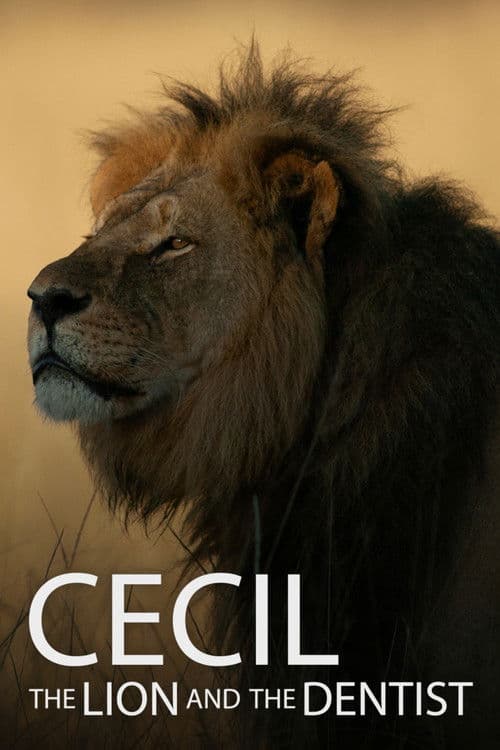 Постер: Cecil