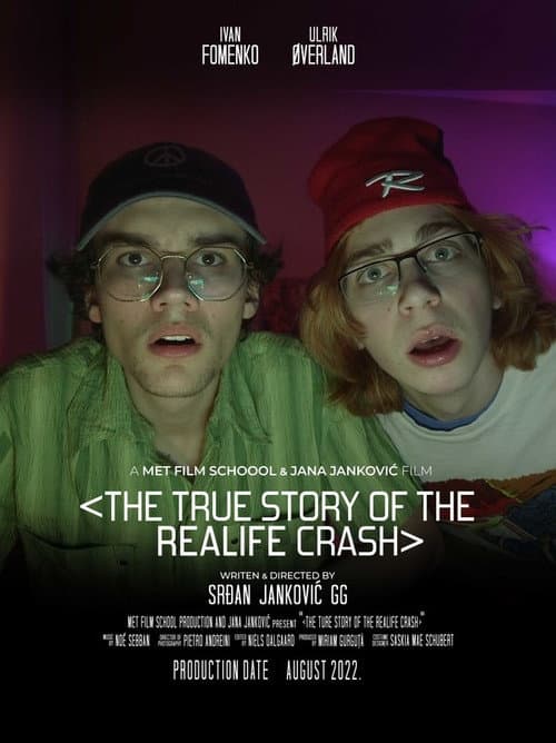 Постер: The True Story of the REALIFE Crash