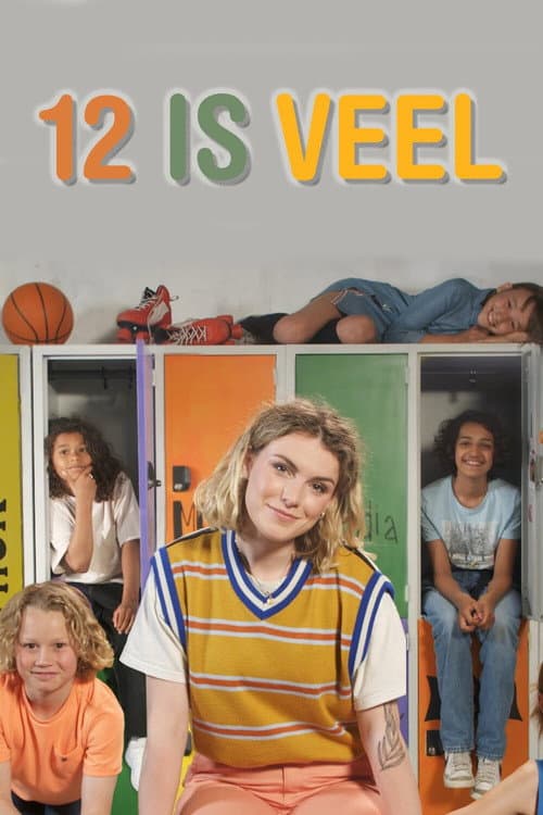 Постер: 12 is veel