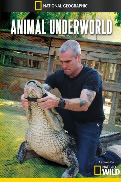 Постер: Animal Underworld