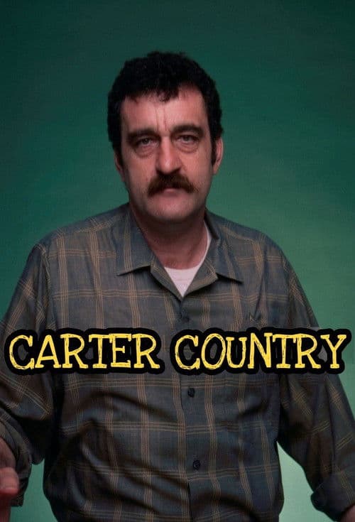 Постер: Carter Country