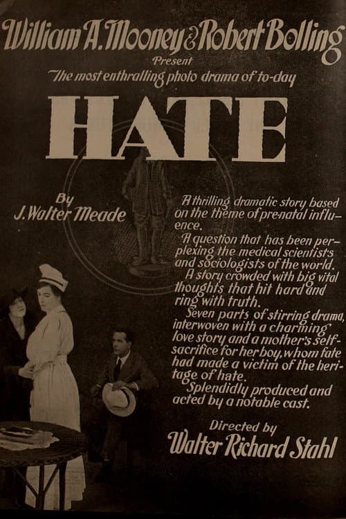 Постер: Hate