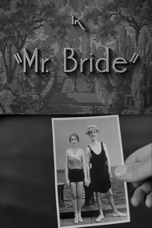 Постер: Mr. Bride