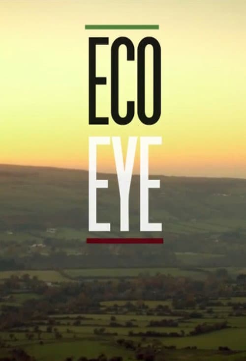 Постер: Eco Eye