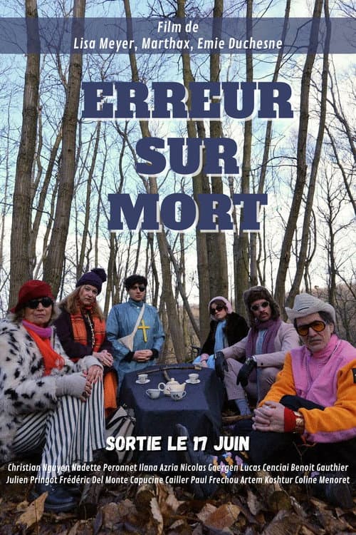 Постер: Erreur Sur Mort
