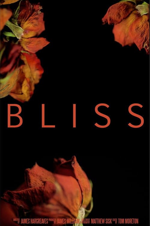 Постер: Bliss