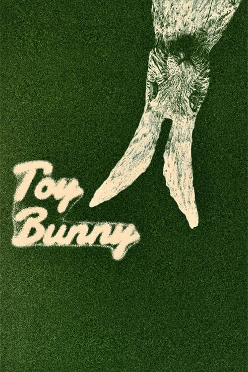 Постер: Toy Bunny