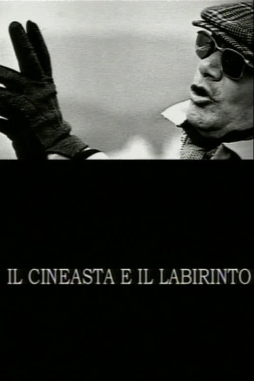 Постер: Il cineasta e il labirinto