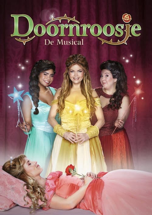 Постер: Doornroosje De Musical