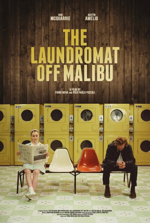 Постер: The Laundromat Off Malibu
