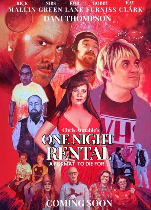 Постер: One Night Rental