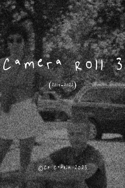 Постер: Camera Roll 3 (2018-2022)